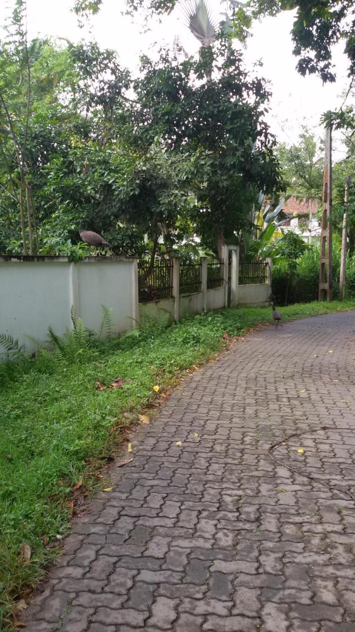 Vero Homestay Galle- Your Home Away From Home! Exteriör bild